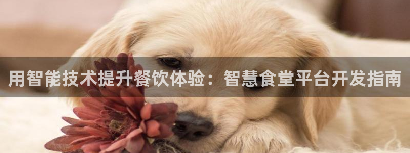 凯时k66会员登录