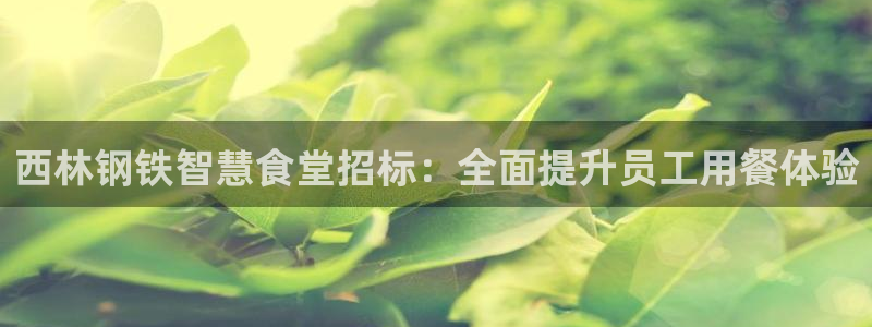 尊龙手机端下载