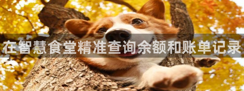 凯时app官网首页