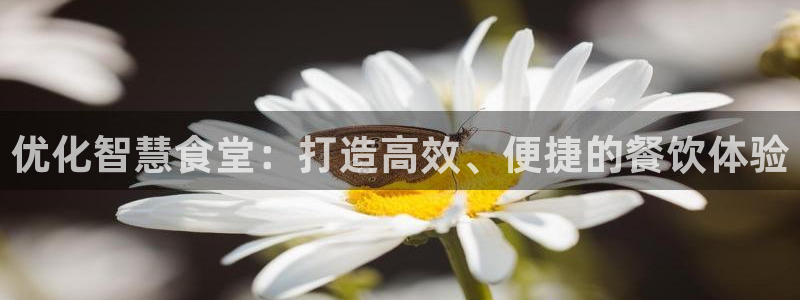 尊龙是什么软件