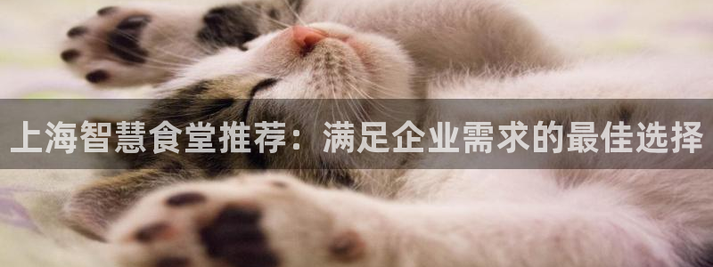 尊龙得过奥斯卡吗：上海智慧食堂推荐：满足企业需求的最佳选择