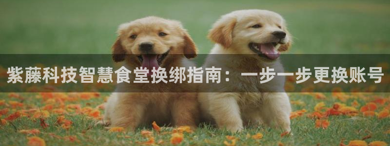 尊龙d88官网确来就送38：紫藤科技智慧食堂换绑指南：一步一