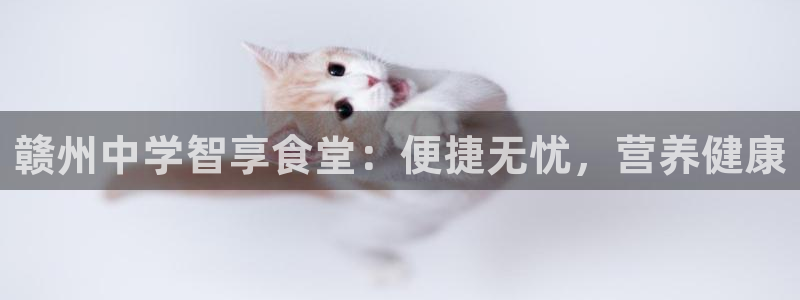 尊龙专访视频