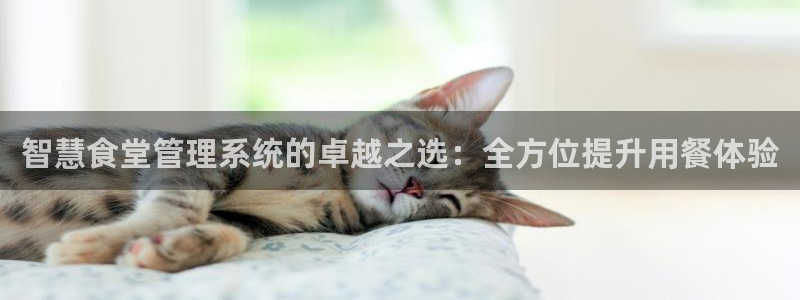 尊龙凯时是赌博嘛