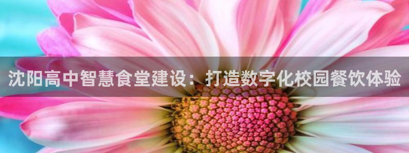 香港尊龙：沈阳高中智慧食堂建设：打造数字化校园餐饮体验