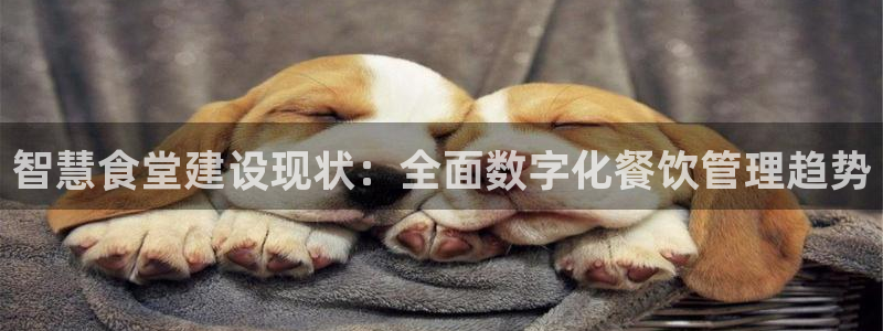 尊龙app官网登录：智慧食堂建设现状：全面数字化餐饮管理趋势