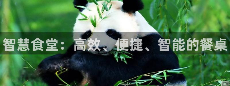 ZL尊龙凯时平台