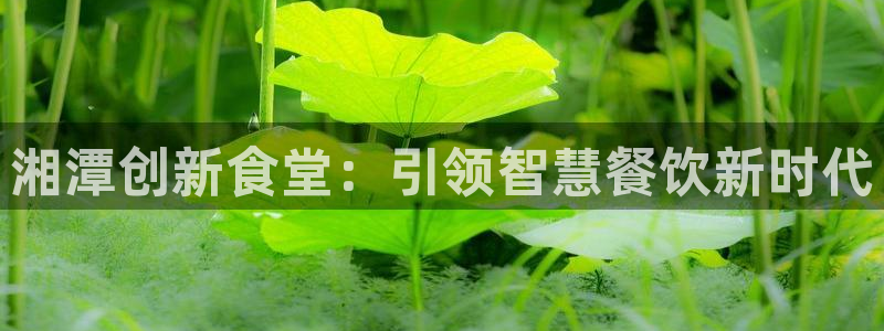 尊龙人生就是博旧版网址