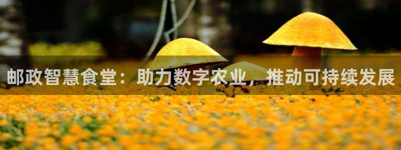 尊龙手机官方客户端下载安卓