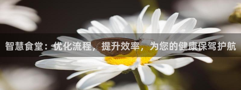 尊龙网站下分慢