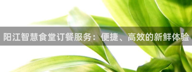 凯时国际app首页登录入口