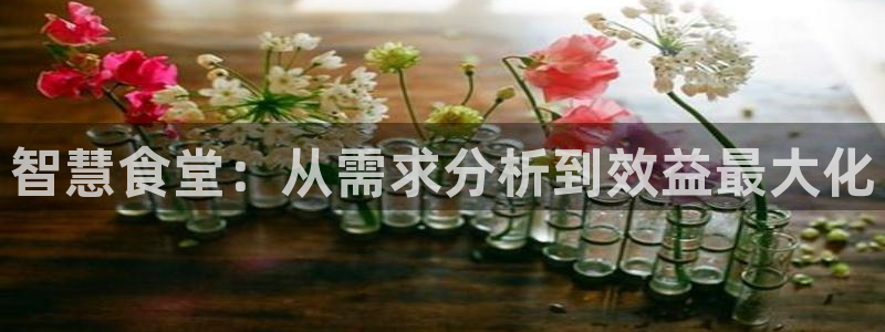 尊龙凯时代理能提出来不