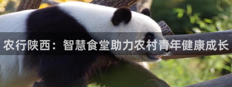 尊龙人生就是博官网登录手机