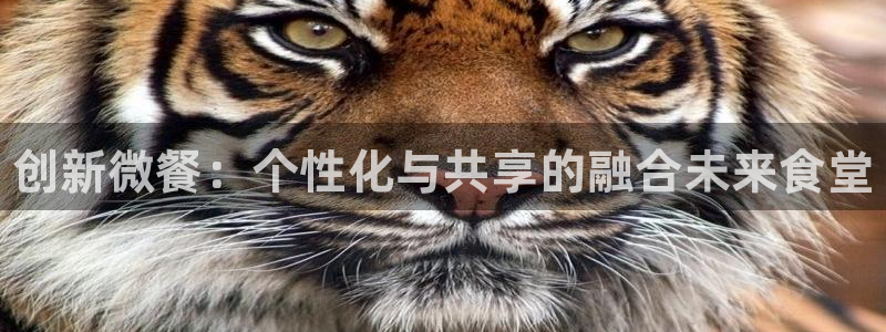 尊龙人生就是博中国区
